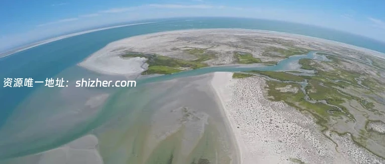 美国纪录片《狂野太平洋 The wild Pacific 2016》英语中英双字 无水印 纯净版 1080P/MKV/4.81G 太平洋生态