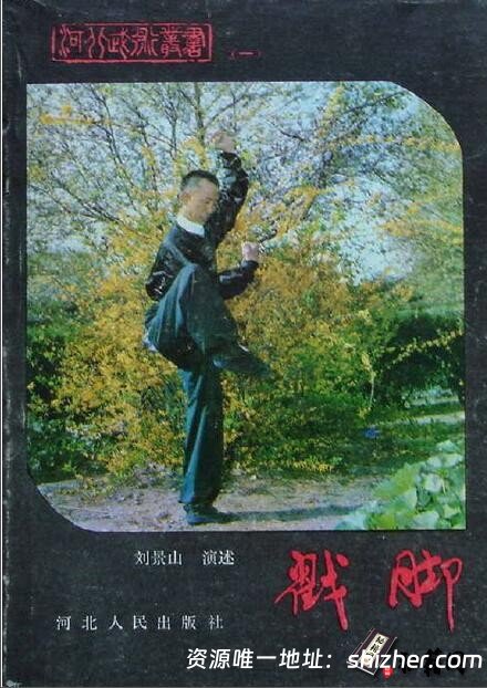 据说一脚可以踢断八块砖且内含八十一种腿法绝学《戳脚》