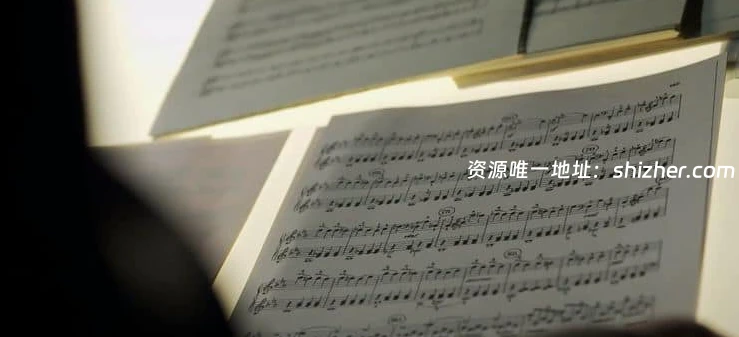 英国纪录片《贝多芬的遗书 The Beethoven Files 2014》英语中英双字 无水印纯净版 1080P/MKV/1.75G 贝多芬档案