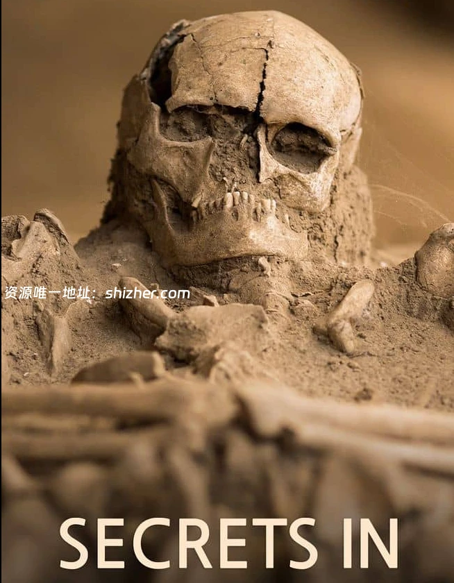 加拿大纪录片《沙中的秘密 Secrets in the Sand 2023》全6集 英语中英 双字 无水印纯净版 1080P/MKV/16.2G 被埋葬的秘密