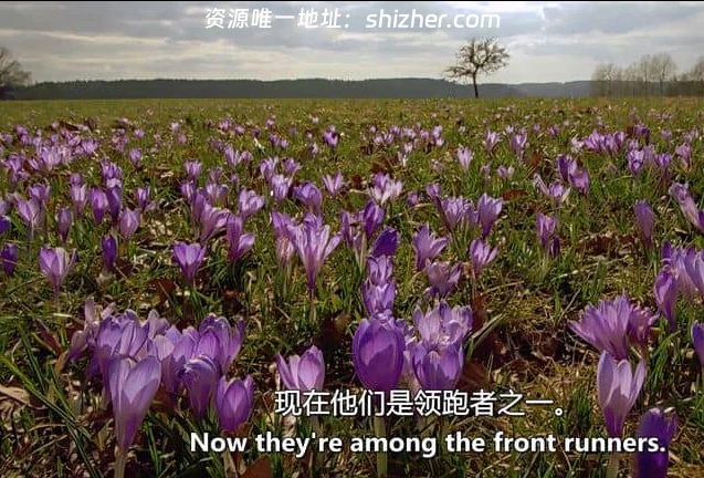 美国纪录片《畅游迷人之地 Fascinating Places 2023》第1-2季全26集 英语中英双字 无水印纯净版 1080P/MKV/30.3G 令人叹为观止的风景