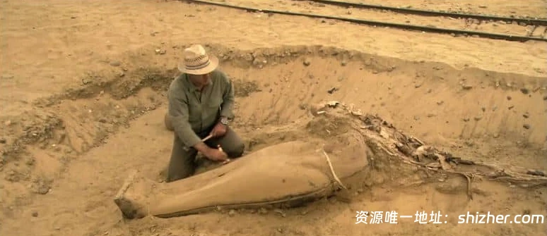 探索频道《寻找失落的法老 Quest for the Lost Pharaoh 2003》英语中 英双字 无水印纯净版 1080P/MKV/1.29G 埃考古