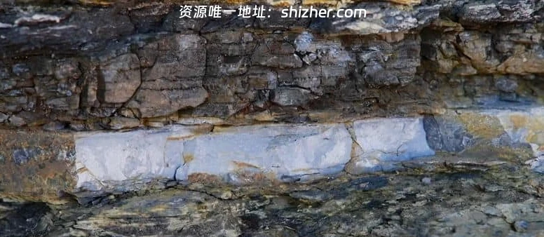 NHK纪录片《恐龙超世界2 Amazing Dinoworld 2 2023》全6集 英语中 字 无水印纯净版 1080P/MP4/4.83G 恐龙纪录片