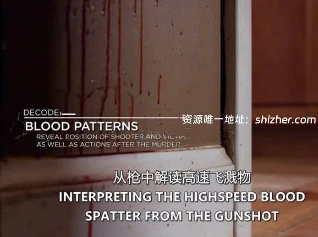 美国纪录片《破案密码 Murder Decoded 2018》全8集 英语中英双字 无 水印纯净版 1080P/MKV/14.1G 真实破案