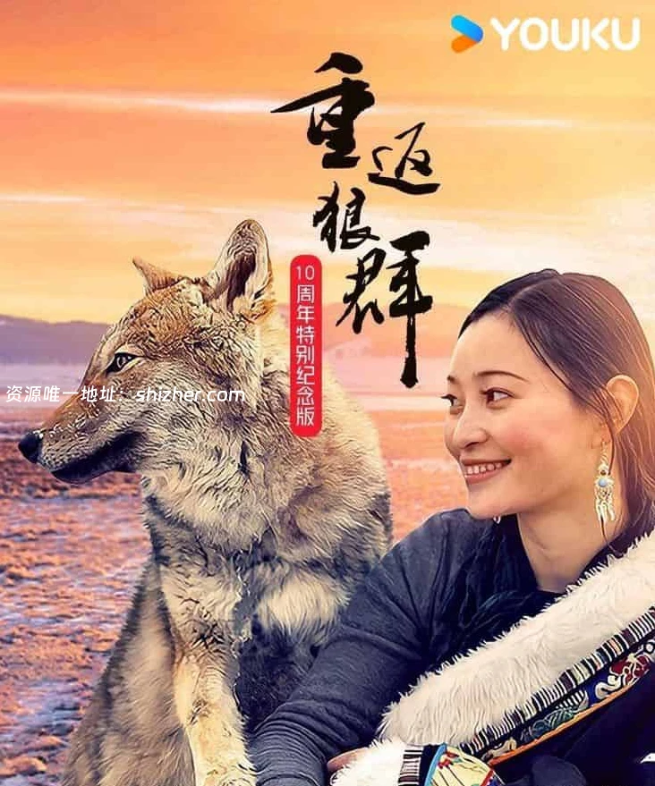 国产纪录片《重返狼群 - 10周年特别纪念版 Return to the Wolves 10- Year Anniversary Special 2021》全11集 国语中字 YOUKU水印版 4K超 清/2160P/MP4/75G 狼王格林的感人故事