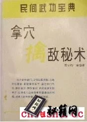 武当绝学  武当字门拿穴擒敌秘术（贾宝和、青山）.pdf
