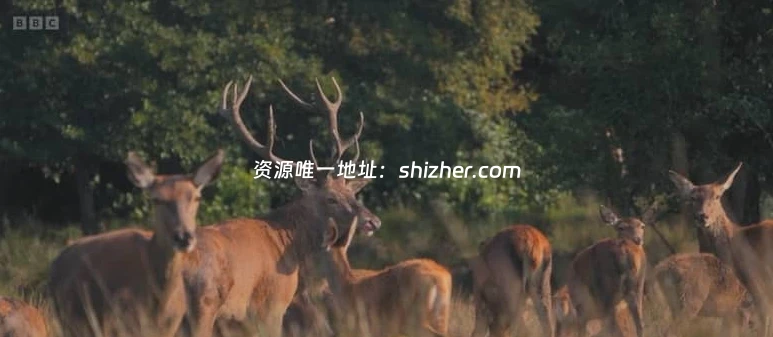 BBC纪录片《走进英国国家公园 Inside Britain's National Parks 2026》 全4集 英语中英双字 无水印纯净版 1080P/MKV/4.6G 英国国家公园