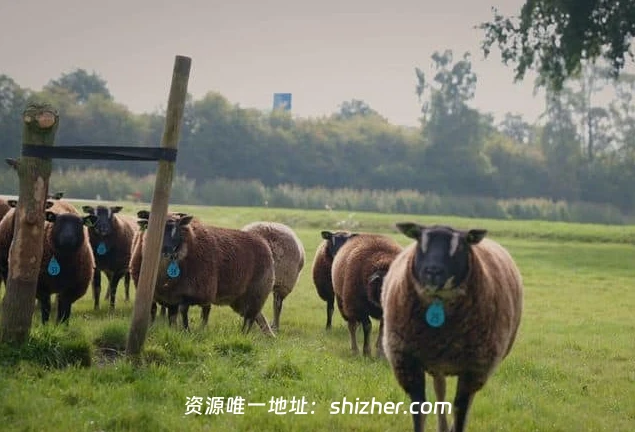 美国纪录片《没有农民就没有食物: 你愿意吃虫吗? No Farmers No Food: Will You Eat the Bugs? 2023》英语中英双字 无水印纯净版 1080P/MKV/4.38G 无农则无食