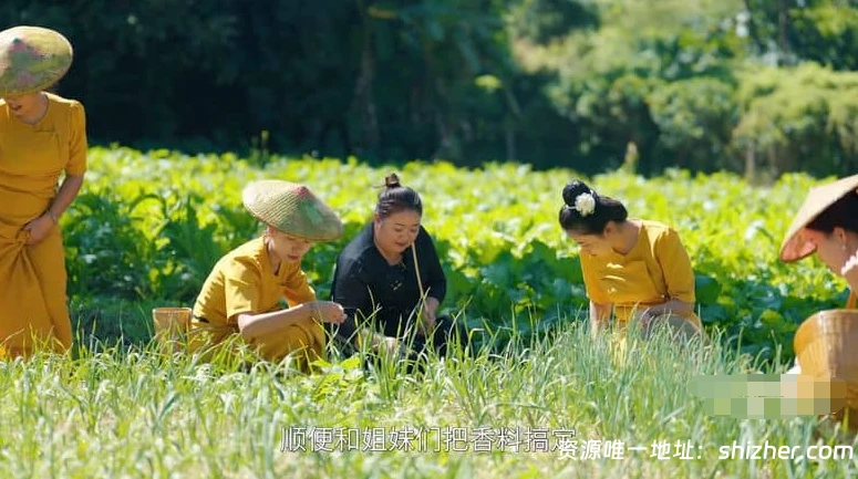 国产纪录片《野火“烤”不尽 2024》全6集 国语中字 4K超 清/2160P/MP4/4.75G 烧烤美食