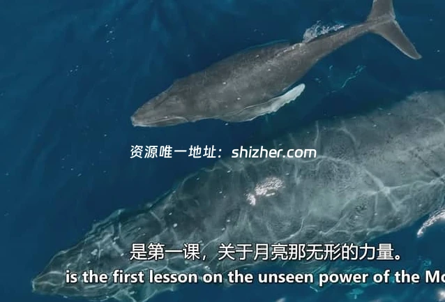 Sky纪录片《月球: 大自然的神秘力量 Moon: Nature's Secret Force 2025》全3集 英语中英双字 无水印纯净版 1080P/MKV/3.31G 月球对地球的影响