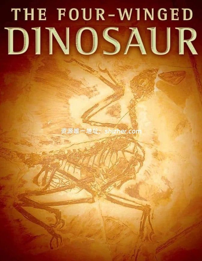 PBS纪录片《四翼恐龙 The Four-Winged Dinosaur 2008》英语中英双 字 无水印纯净版 1080P/MKV/3.69G 恐龙纪录片