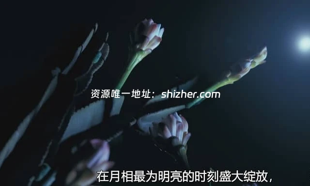 Sky纪录片《月球: 大自然的神秘力量 Moon: Nature's Secret Force 2025》全3集 英语中英双字 无水印纯净版 1080P/MKV/3.31G 月球对地球的影响