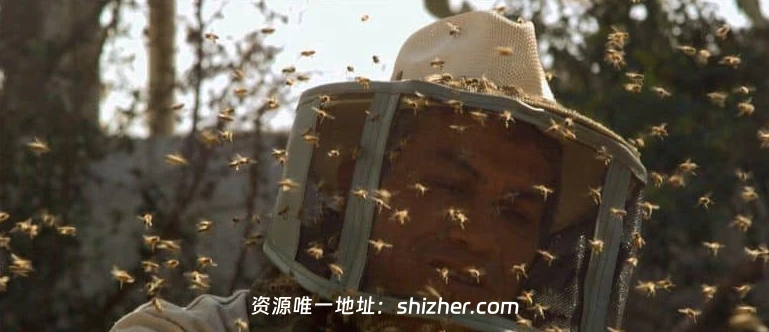 史密森尼频道《蜂巢的秘密 Secrets of the Hive 2015》英语中英双字 无 水印纯净版 1080P/MKV/2.87G 蜂巢的秘密