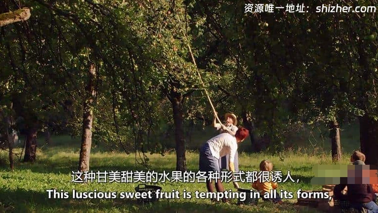 美国纪录片《生命的旋转木马 Carousel of Life》英语中英双字 无水印纯 净版 1080P/MKV/5.04G 果园生态系统