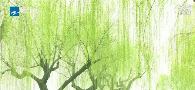 浙江卫视纪录片《南宋》 全7集 汉语中字 1080P高清 历史人文纪录片