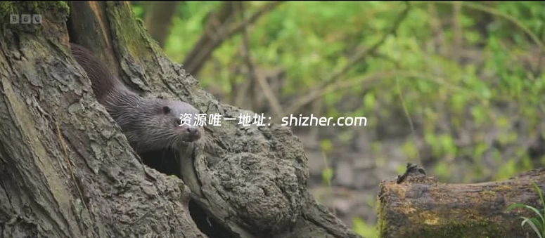 BBC纪录片《秘密花园 Secret Garden 2026》 全5集 英语中英双字 无水 印纯净版 1080P/MKV/4.24G 英国花园