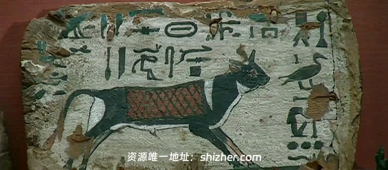 美国纪录片《法老的圣兽 The Sacred Animals of the Pharaohs 2007》 英语中英双字 无水印纯净版 1080P/MKV/1.3G 法老的圣兽