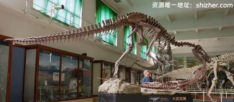 NHK纪录片《恐龙超世界2 Amazing Dinoworld 2 2023》全6集 英语中 字 无水印纯净版 1080P/MP4/4.83G 恐龙纪录片