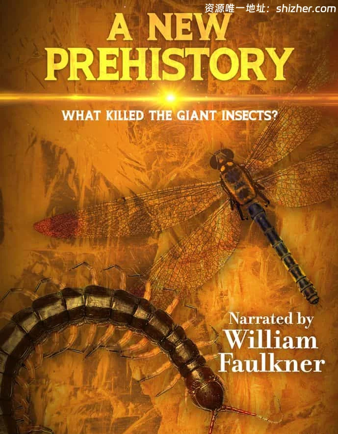 法国纪录片《新史前史 A New Prehistory 2016》全3集 英语中英双字 无水印纯净版 1080P/MKV/6.32G 史前文明