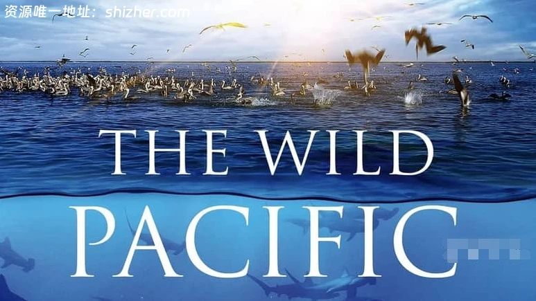美国纪录片《狂野太平洋 The wild Pacific 2016》英语中英双字 无水印 纯净版 1080P/MKV/4.81G 太平洋生态