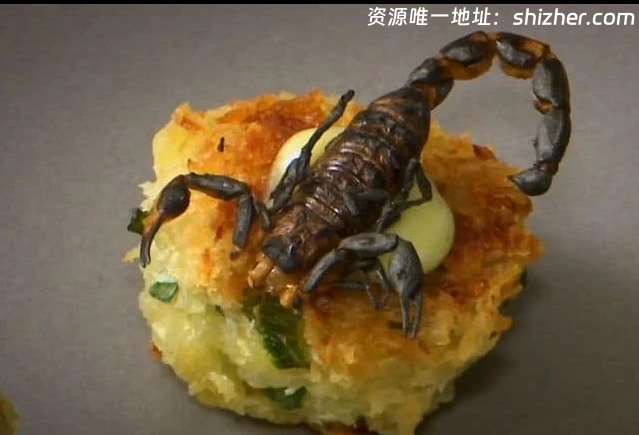 美国纪录片《没有农民就没有食物: 你愿意吃虫吗? No Farmers No Food: Will You Eat the Bugs? 2023》英语中英双字 无水印纯净版 1080P/MKV/4.38G 无农则无食