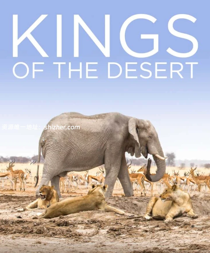 史密森尼频道《沙漠之王Kings of the Desert 2020》英语中英双字无水印纯净版1080P/MKV/2.4G非洲沙漠狮